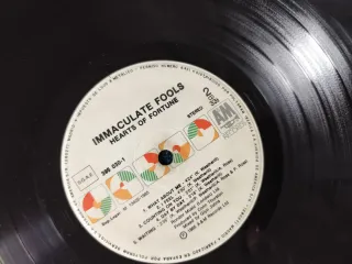 Immaculate Fools. Hearts of Fortune. Vinilo / Viny