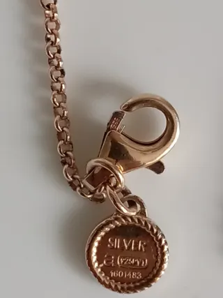 Colgante libélula plata bañada en oro