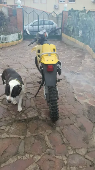 Suzuki RMX 50cc Enduro Moto