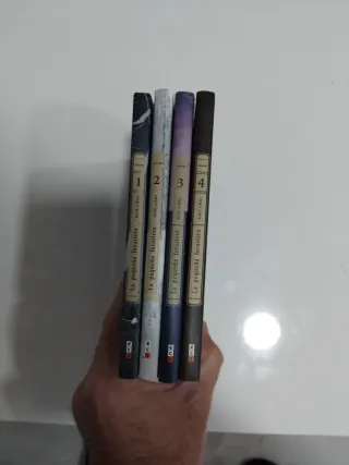 La pequeña forastera (lote de manga)