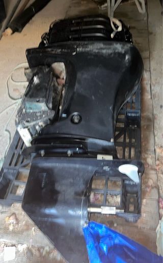 Motor Mariner EFI 115