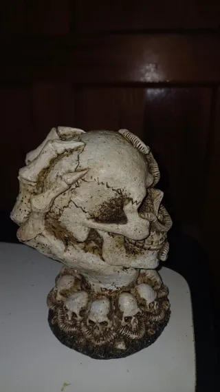 Calavera Decorativa Beige y Marrón