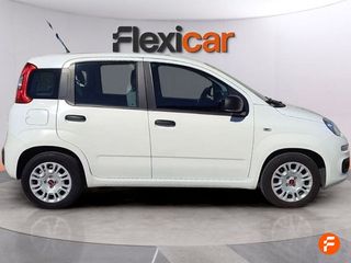 Fiat Panda Panda Hybrid 1.0 Gse 51kw (70CV)