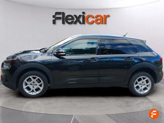 Citroën C4 Cactus BlueHDi 100 S&S Live