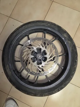 Ruota anteriore con disco e pneumatico