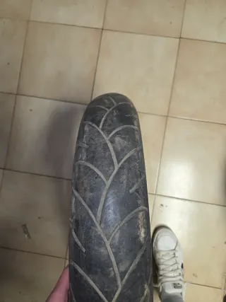 Ruota anteriore con disco e pneumatico