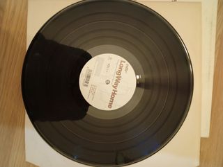Vinilo Long Way Home