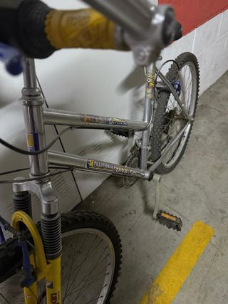 Bicicleta de Montaña