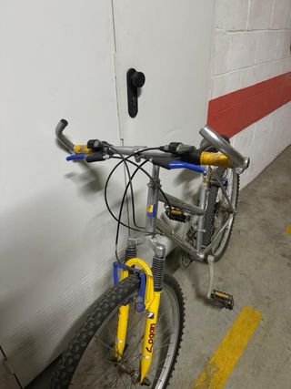 Bicicleta de Montaña