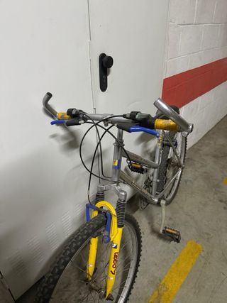 Bicicleta de Montaña