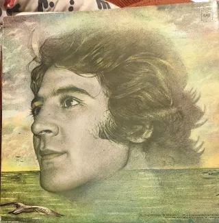 Vinilo Internacional Pop Rock