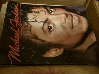 Titolo: Michael Jackson - Biografia Illustrata