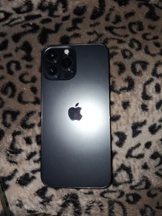 iPhone 13 Pro Max Gris
