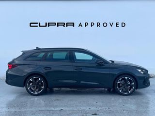 Cupra León SP 1.5 eTSI 110kW (150CV) DSG