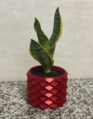 Macetas decorativas rojas