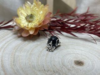 Charm Frenchie Bulldog Francés