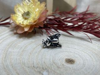 Charm Frenchie Bulldog Francés