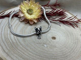 Charm Frenchie Bulldog Francés