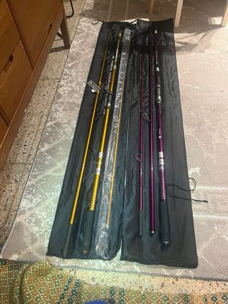 Cañas de Pesca Abu García Star Surf Hybrid