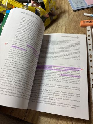 Necesidades específicas de apoyo educativo