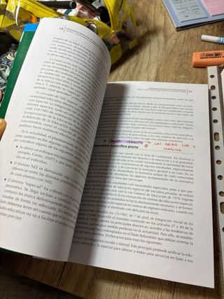 Necesidades específicas de apoyo educativo