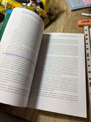 Necesidades específicas de apoyo educativo