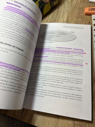 Necesidades específicas de apoyo educativo