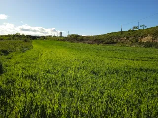 Vendo finca en huesca capital.