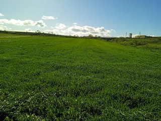 Vendo finca en huesca capital.