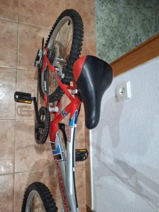 Bicicleta infantil roja y plateada