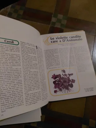 Mini enciclopedia Cucinare con le erbe