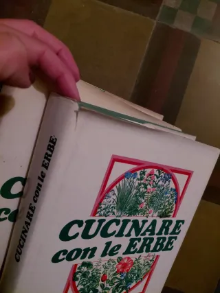 Mini enciclopedia Cucinare con le erbe