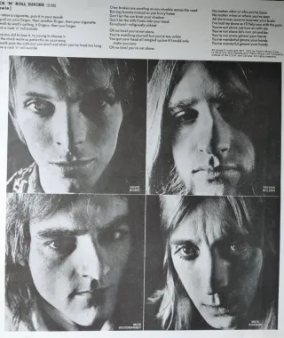 David Bowie Ziggy Stardust Vinilo RCA