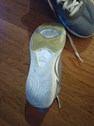 Jordan Tatum 1 Cool Grey Talla 37.5