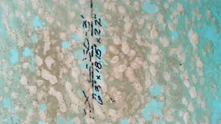 Tabla Surf 6'3 Semi Gun