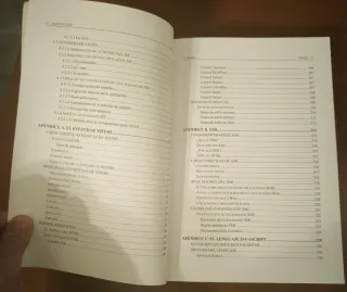 AJAX en J2EE (Spanish Edition)