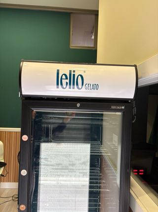 Congelador Vertical Tefcold 270L