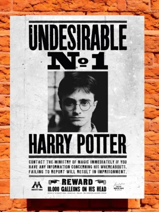 Póster Lost Harry Potter