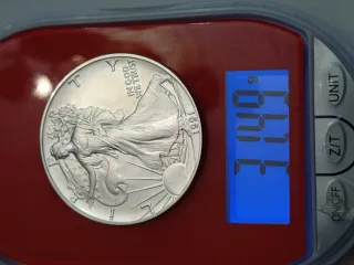 Onza Águila 1991 Plata