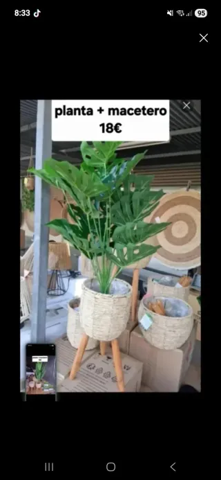 Planta + macetero patas x18€