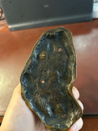 Scultura cane da caccia in bronzo  1800/1900