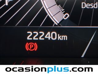 Skoda Fabia 1.0 TSI Design DSG 85 KW (115 CV)