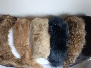 Colletti in pelliccia