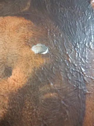 Cuadro Óleo Antiguo