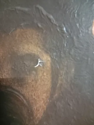 Cuadro Óleo Antiguo