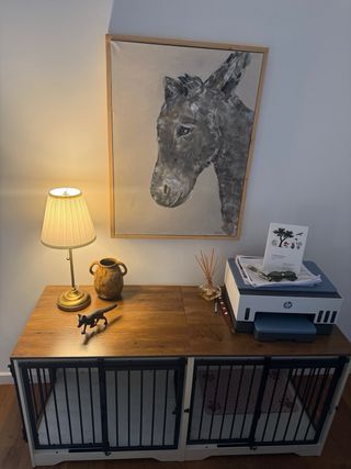 Móvel com 2 caixas para cães, 2 em 1