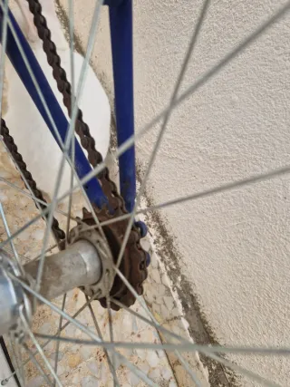 Bicicleta infantil SPEED