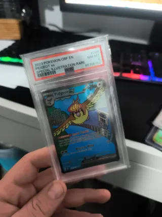 Carta Pokémon Pidgeot ex PSA 8