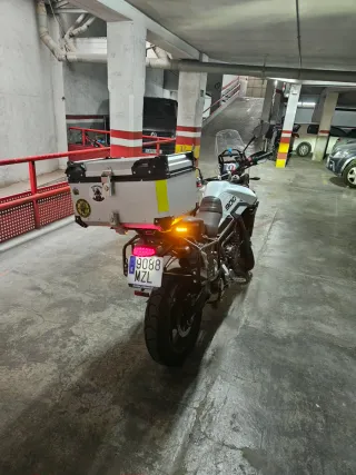 Triumph Tiger 900 GT PRO - Marzo 2025 - Negociable