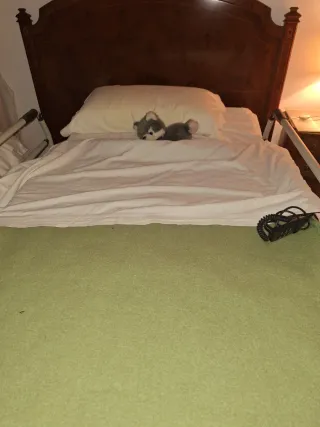 Pack Cama Eléctrica Articulada + Colchón.